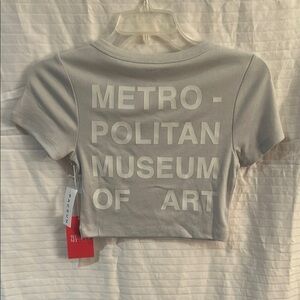 PacSun Gray Metropolitan Museum of Art Crop Top